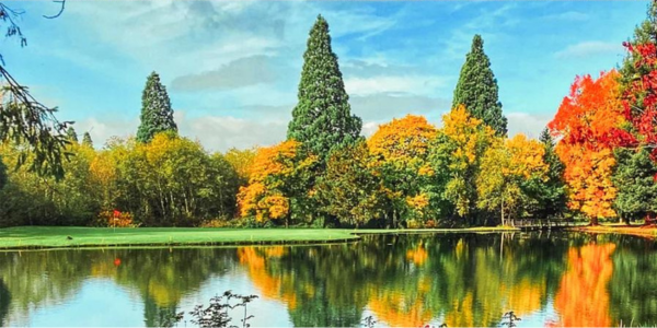 Blog featured image