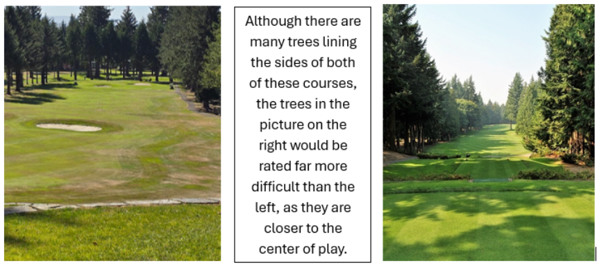 Trees in fairway