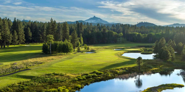 Winners Announced: 2025 Spring Swing Giveaway